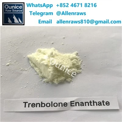 Trenbolone Enanthate 중국 고-순도 스테로이드 분말 구매
